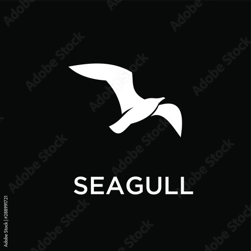 Fotografía seagull logo icon designs vector