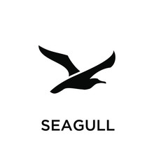 Seagull Logo Icon Designs Vector