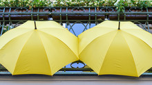 Two Yellow Umbrellas On The Balcony Of The House Are Sunny Day.
