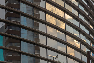 Wall Mural - Building windows, clowds reflecting - sunset scene