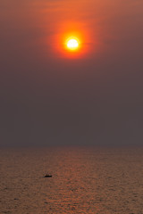 Wall Mural - sun and a  boat in coral sunrise