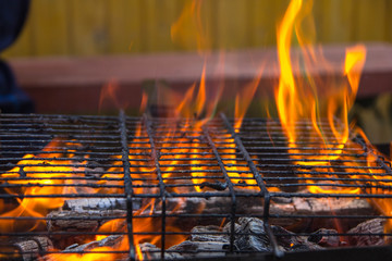 Wall Mural - fire burning in the grill. beautiful flame. burning wood