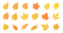 Autumn Leaf Set