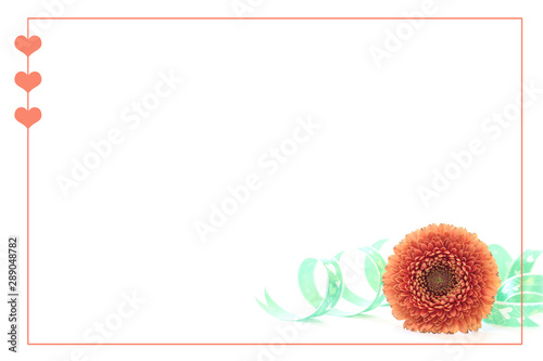 八重咲きのオレンジのガーベラのフレーム Stock Photo Adobe Stock 八重咲きのオレンジのガーベラのフレーム Stock Photo Adobe Stock
