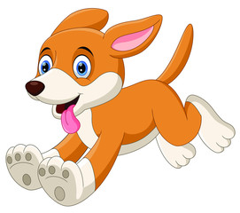Wall Mural - Cute little dog cartoon running isolated on white background