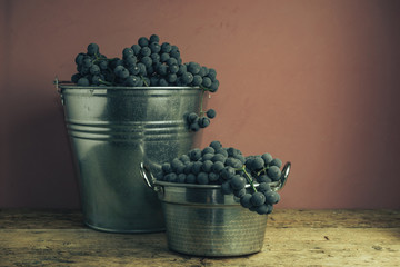 Poster - Beautiful wine grapes of silver basket on a old oak wooden table and red wall background.
