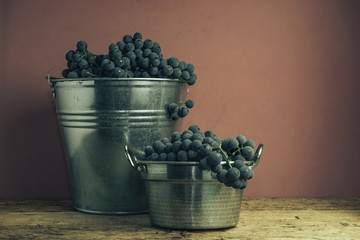 Poster - Beautiful wine grapes of silver basket on a old oak wooden table and red wall background.