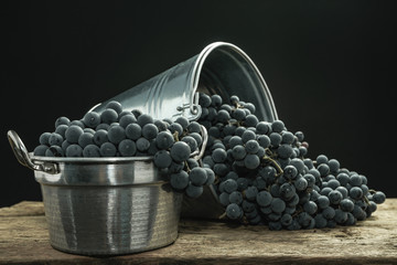 Poster - Beautiful wine grapes of silver basket on a old oak wooden table and black background.