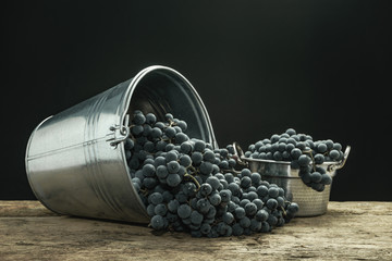 Poster - Beautiful wine grapes of silver basket on a old oak wooden table and black background.