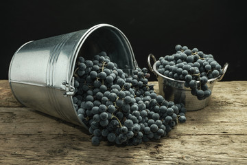 Poster - Beautiful wine grapes of silver basket on a old oak wooden table and black background.