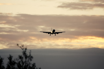 Wall Mural - air plane in sunset sky