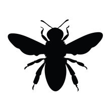 Download Silhouette Of A Bumble Bee Free Stock Photo - Public ...
