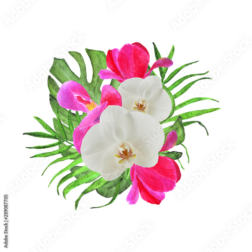 watercolor bouquet palm leaf monstera tulip collage with orchid.