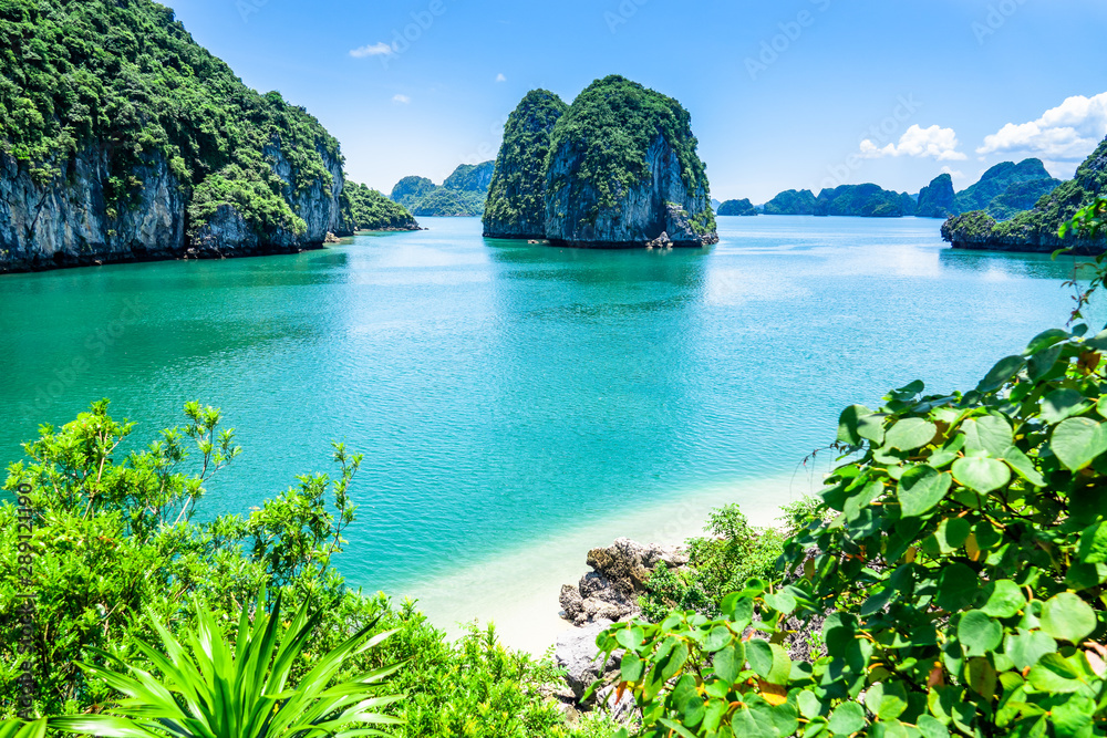 Bai tu long bay (Halong bay) rock karst formations in the sea, Vietnam landscape. Holiday tourist attraction. - obrazy, fototapety, plakaty 