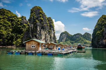 Wall Mural - Vung Vieng floating fishing village at Bai tu Long Bai / Halong Bay, Vietnam.