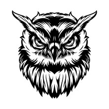Vintage Serious Owl Head Concept