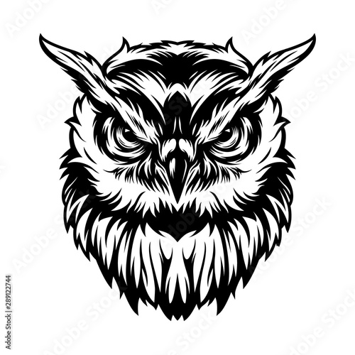 Vintage serious owl head concept