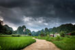 Phia Thap, a small rural village and valley in Quang Uyen district, Cao Bang province, North Vietnam. Typical Vietnamese landscape with rice fields and karst mountains. 