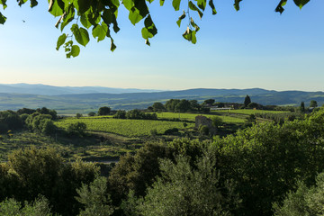 Wall Mural - Tuscany countryside landscape.