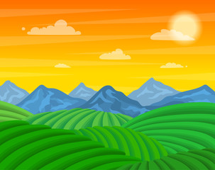 Poster - Cartoon Tea Plantation Green Fields Landscape Background Scene. Vector