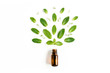 Essential oil and green mint leaves on white background. Medicinal herbs. Flat lay. Top view.