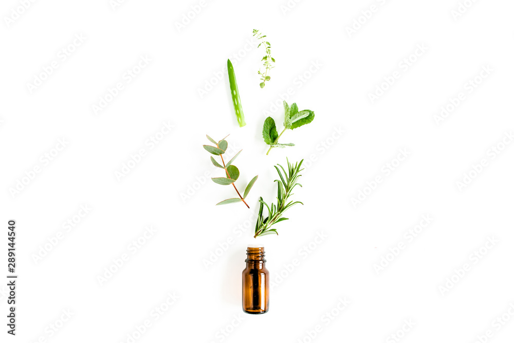 Essential oil and mix of herbs, green branches, leaves eucalyptus, aloe Vera, rosemary, thyme on white background. Set of medicinal herbs. Flat lay. Top view. - obrazy, fototapety, plakaty 