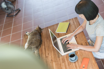 Poster - working at home with her cat