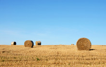 Straw Bales In A Field In Sussex, England, UK. The Golden Round Bales Contrast With The Blue Sky. Straw Bales Are A Common Sight On Farms At Harvest Time. Bales Of Straw In The English Countryside.