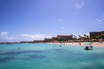 Wall Mural - Palm beach in Aruba