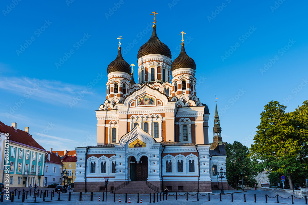 Alexander Nevsky Cathedral in Tallinn; Estonia - obrazy, fototapety, plakaty 