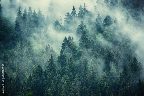 Plakaty mgła   mglisty-krajobraz-gorski
