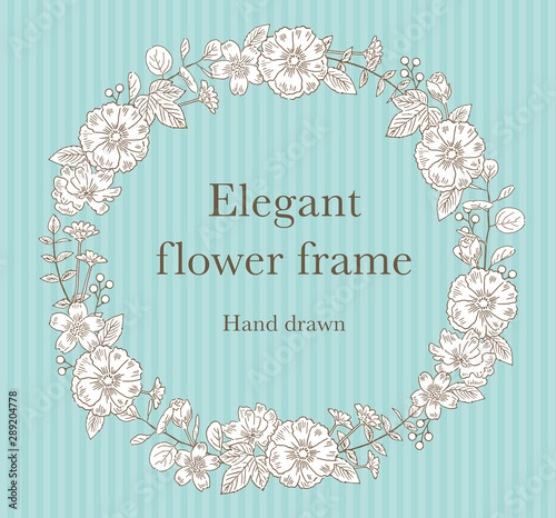 エレガントな手描きの植物フレーム Stock ベクター Adobe Stock