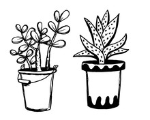 Set Of Different Hand Drawn House Plants In Pots. Isolated Decorative Plants: Aloe, Crassula, Flower For Design Template, Icon, Gift Card. Sketch Style Vector Illustration.