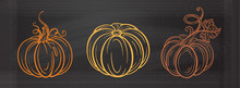 Autumn Vector Illustration. Graphic Pumpkins Set On A Chalkboard Background.