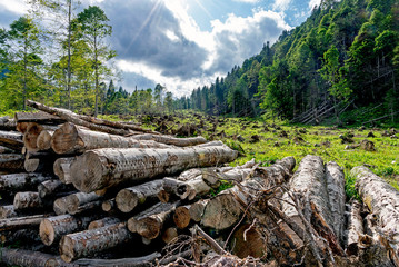 Canvas Print - Valle Pesarina 2