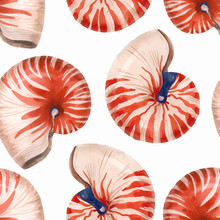 Watercolor Sea Life Nautilus Shell Vector Pattern