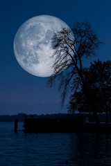 Wall Mural - full moon with tree lake reflections