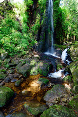 Sticker - Wasserfall in St.Blasien im Hochschwarzwald, Baden-Württemberg - water fall in a gorge of the black forest / Germany