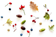 Autumn Style Photo .Background Of Colorful Autumn Fruits And Leaves, Fall Season Concept. Flat Lay, Top View.