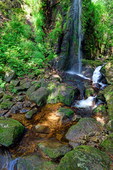 Poster - Wasserfall in St.Blasien im Hochschwarzwald, Baden-Württemberg - water fall in a gorge of the black forest / Germany