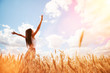 Happy woman enjoying the life in the sunny field. Nature beauty, blue sky,white clouds and field with golden wheat. Outdoor lifestyle. Freedom concept. Woman jump in summer field