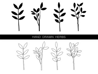 Wall Mural - Set of vector hand drawn herbs isolated on white. Contour and silhouette. Black and white. Decorations for cards, invitations, beauty shop, tea shop, pharmacy, drugs and beauty products advertising