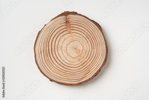 top view of wood piece with annual ring on white Tableau sur Toile