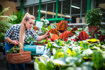 Woman shopping for and looking at plants in garden center