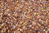 Fototapeta Kwiaty - autumn leaves