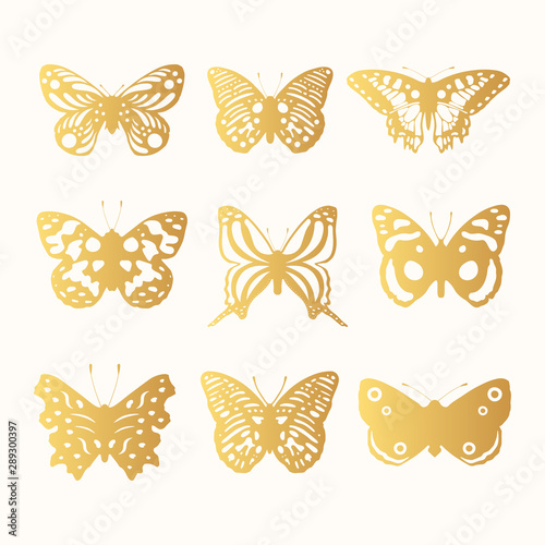 Cuadros en Lienzo Set of golden ornate butterflies silhouettes