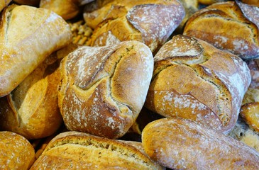 Wall Mural - Fresh sourdough bread rolls at a bakery