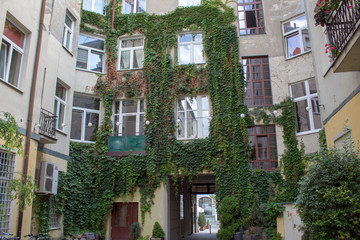 European architecture - a colorful patio of an old European house, entwined with green ivy.