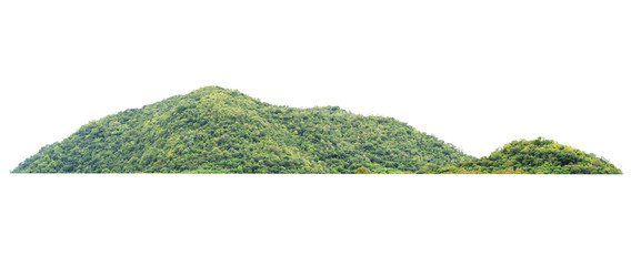 rock mountain hill with  green forest isolate on white background