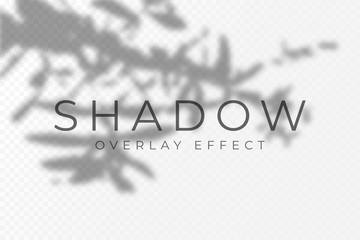 Leinwandbilder - Shadow overlay effect. Transparent soft light and shadows from plant branches, leaves and foliage. Mockup of transparent shadow overlay effect and natural lightning